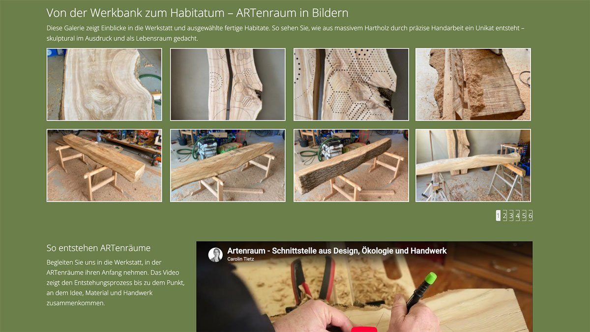 Screenshot der Website von ARTenraum